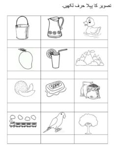 Read more about the article Urdu worksheets for nursery pdf